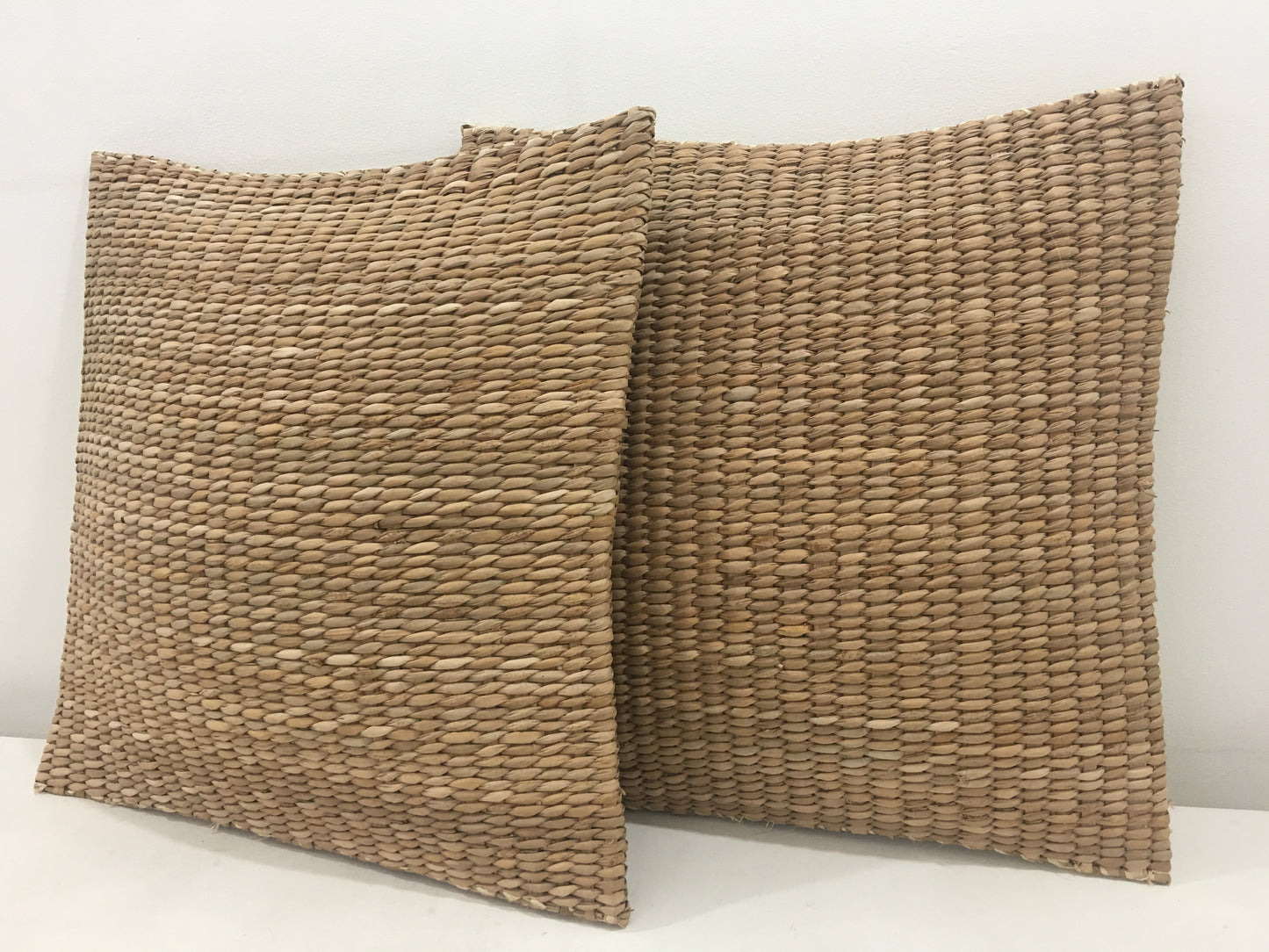 Carol Seagrass Floor Pillow